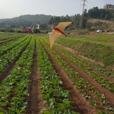 Instalación del Halcón Espantapájaros en Huerto