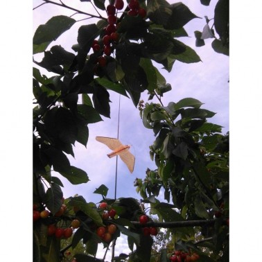 Installation of Pigeon Scaring Falcon in Fruit Trees