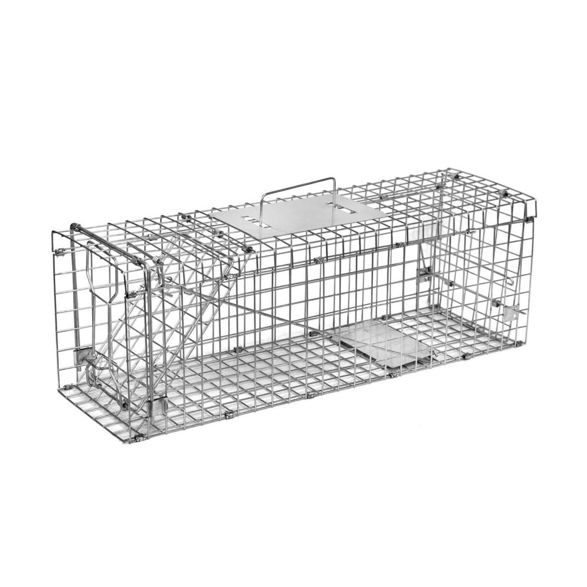 Folding Trap Cage - Live Animal Trap - BirdGard Iberia