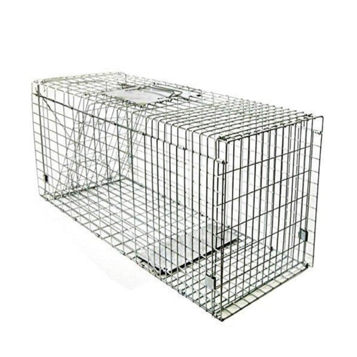 Folding Trap Cage - Live Animal Trap - BirdGard Iberia