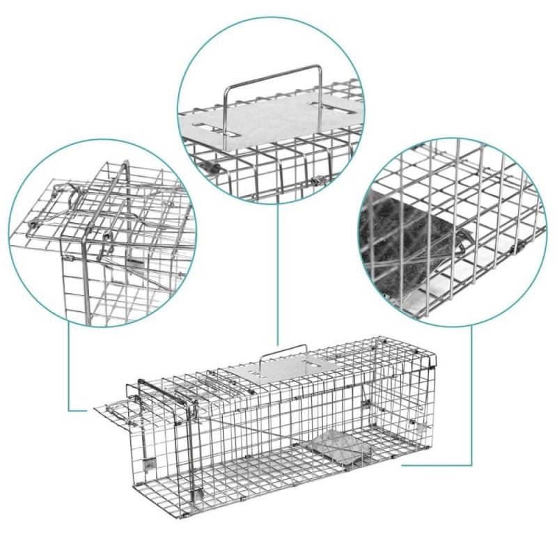 https://www.birdgard.es/140-large_default/folding-trap-cage.jpg