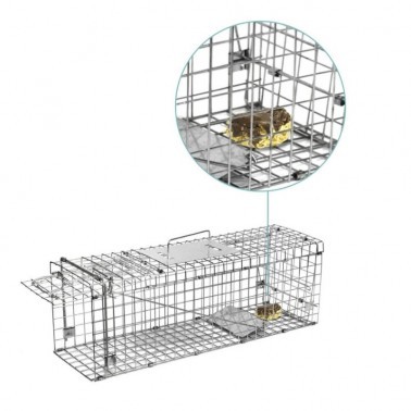 Small or large live animal trap cage?