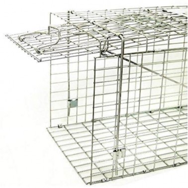 Folding Trap Cage Close-Up on Entry Door