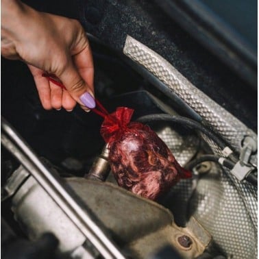 Natural Marten Repellent – Kunagone | BirdGard Iberia