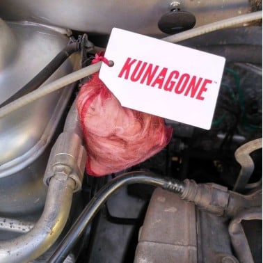 Natural Marten Repellent – Kunagone | BirdGard Iberia