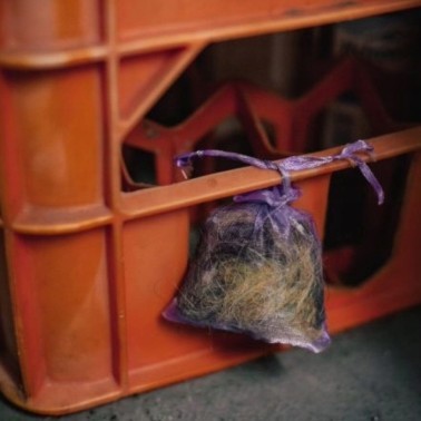 Kunagone Ratones | Ahuyentador Natural por Olor | BirdGard Iberia