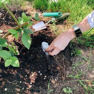 Kunagone Moles – Natural Repellent | BirdGard Iberia