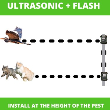 Garden Protector 4 with Flash | Ultrasonic Animal Repeller
