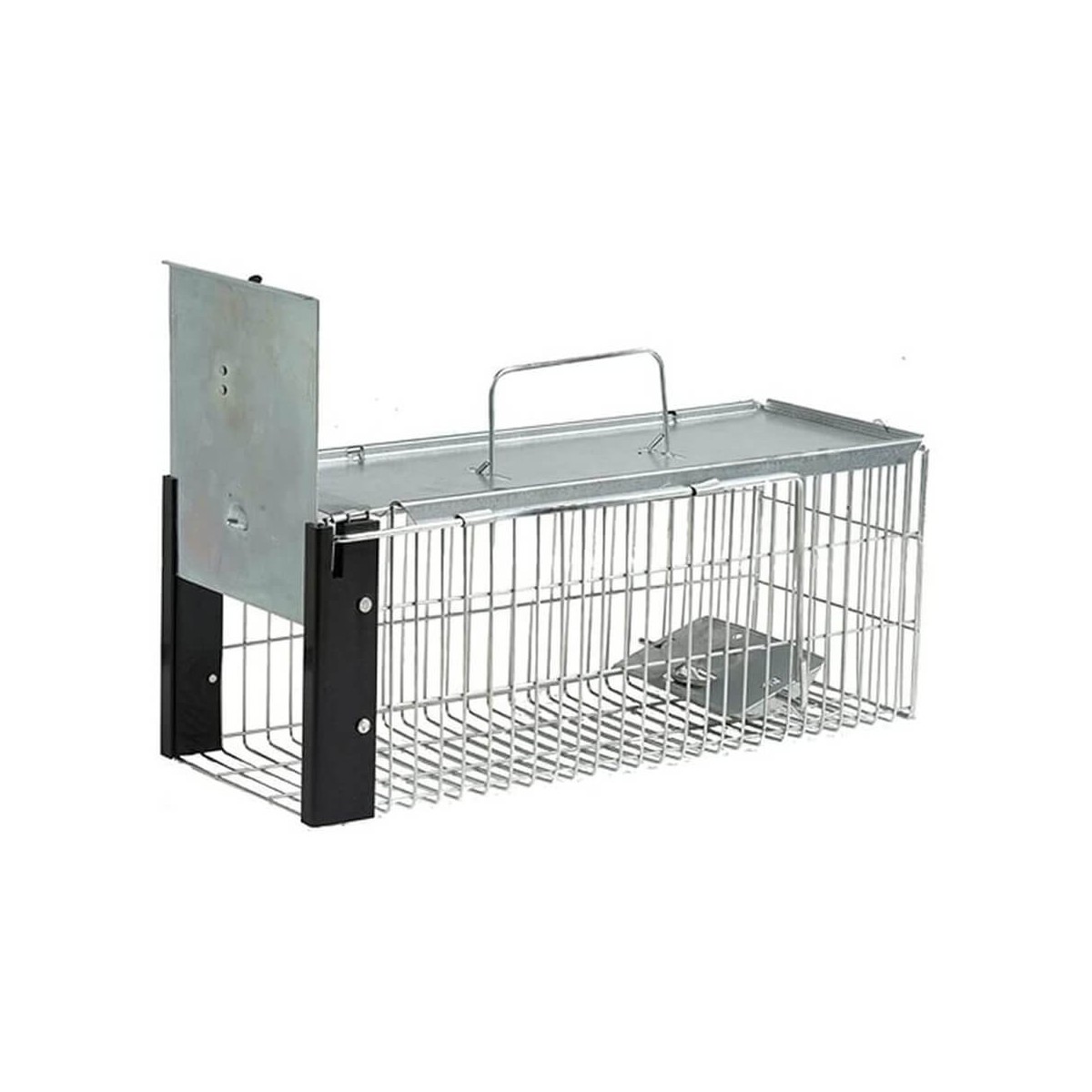 Rats Cage