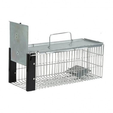 Rats Cage