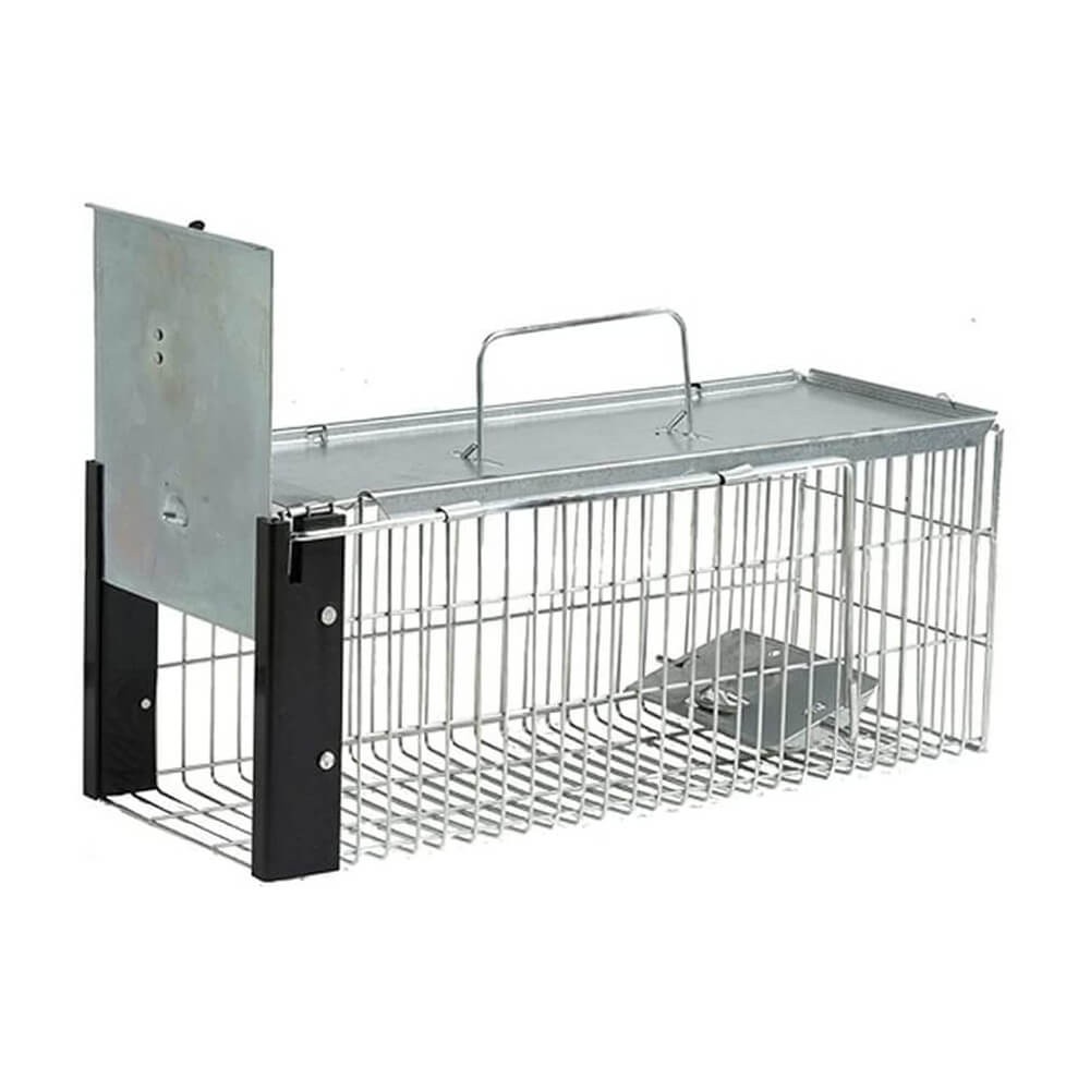 Popamazing cage hot sale for rats