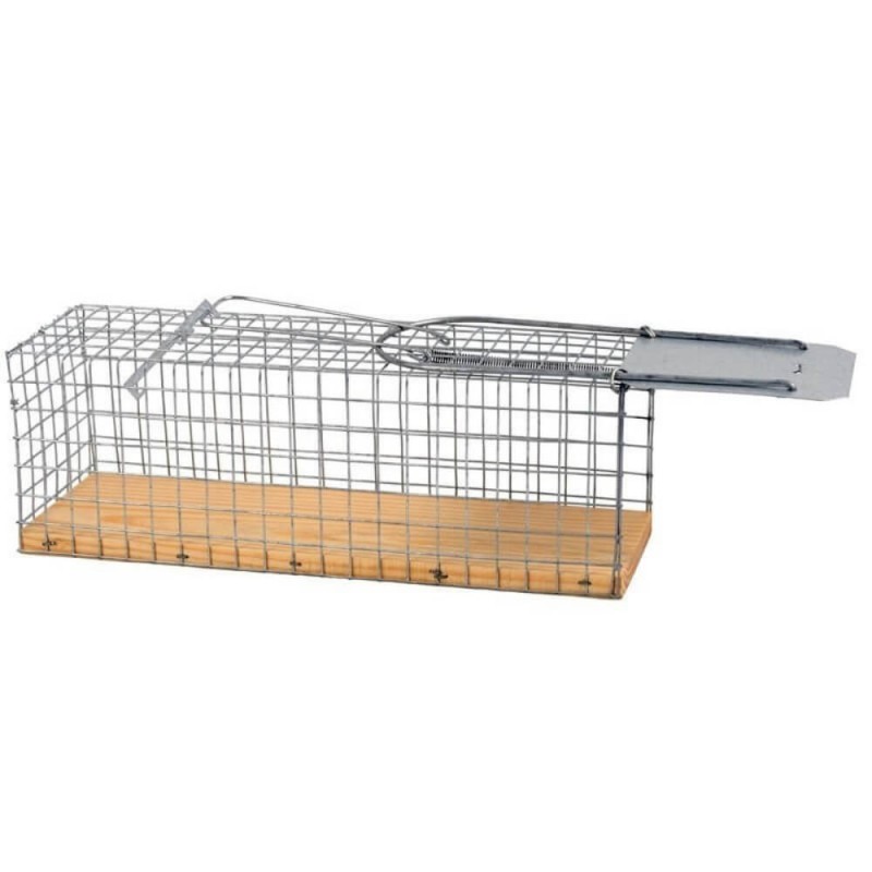 Capture Cage for Mice
