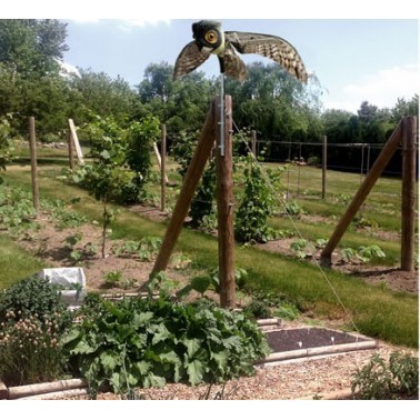 Scarecrow Owl with Flapping Wings Installed in an Orchard