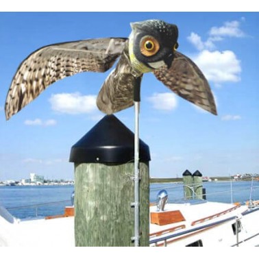 Scarecrow Owl that Moves its Wings, Installed on a Terrace