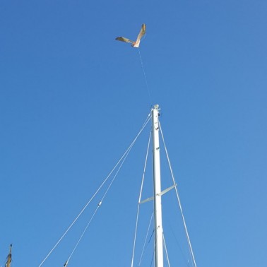 StopGull Falcon instalado en un barco en puerto