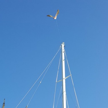 StopGull Falcon Installed on a Boat in the Harbor