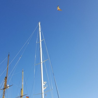 StopGull Falcon instalado en un barco