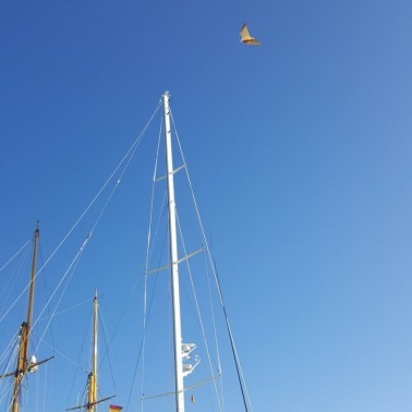 StopGull Falcon Installed on a Boat