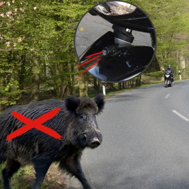 Car Animal Repeller for Wild Boars