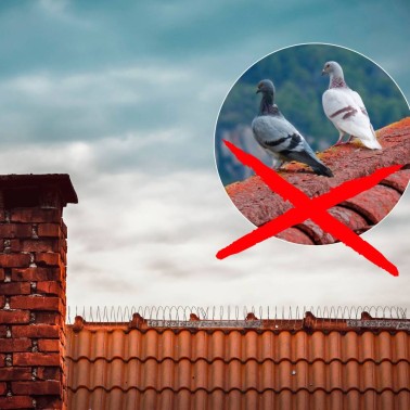 Bird Coil - Pigeon Deterrent