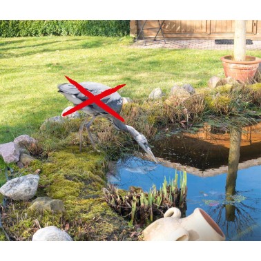 Floating Protector Prevents Heron from Catching Fish in Pond