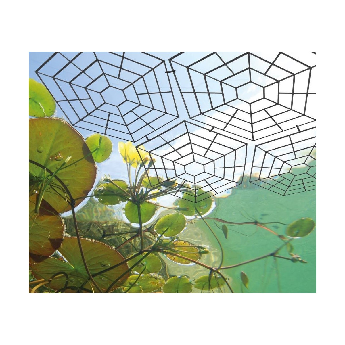 Floating Pond Protectors Heron Deterrent Pond Protection Grid