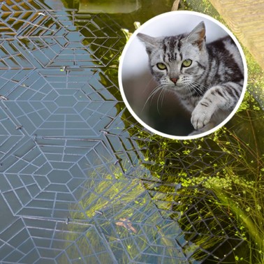 Floating Protector for Pond - Anti-Cat