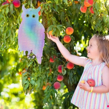 Búho Espantapájaros Reflectante instalado en árbol frutal