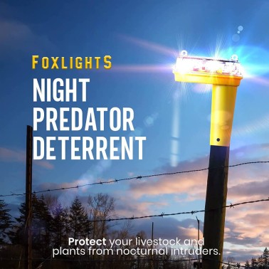 FoxLights Solar Ahuyentador de Depredadores Nocturnos