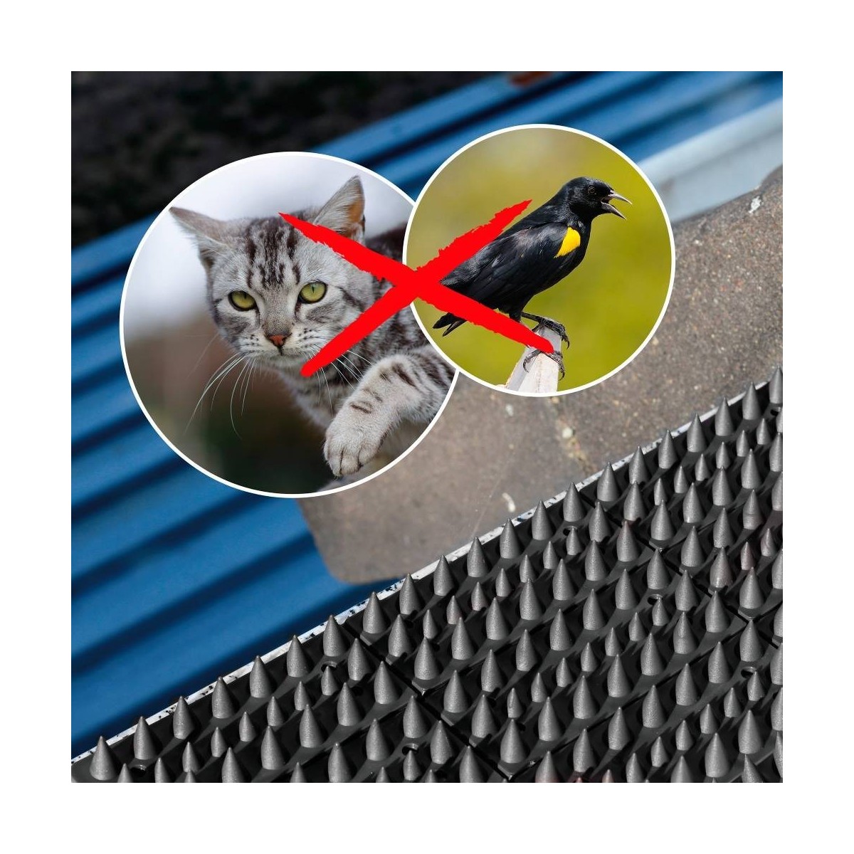 20 Strips of Plastic Bird Spikes. Effective without Harming Animals