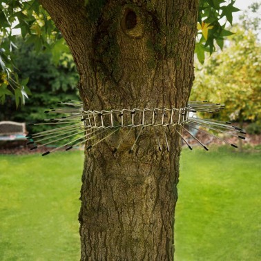 Barrera en árbol para impedir a los gatos trepar