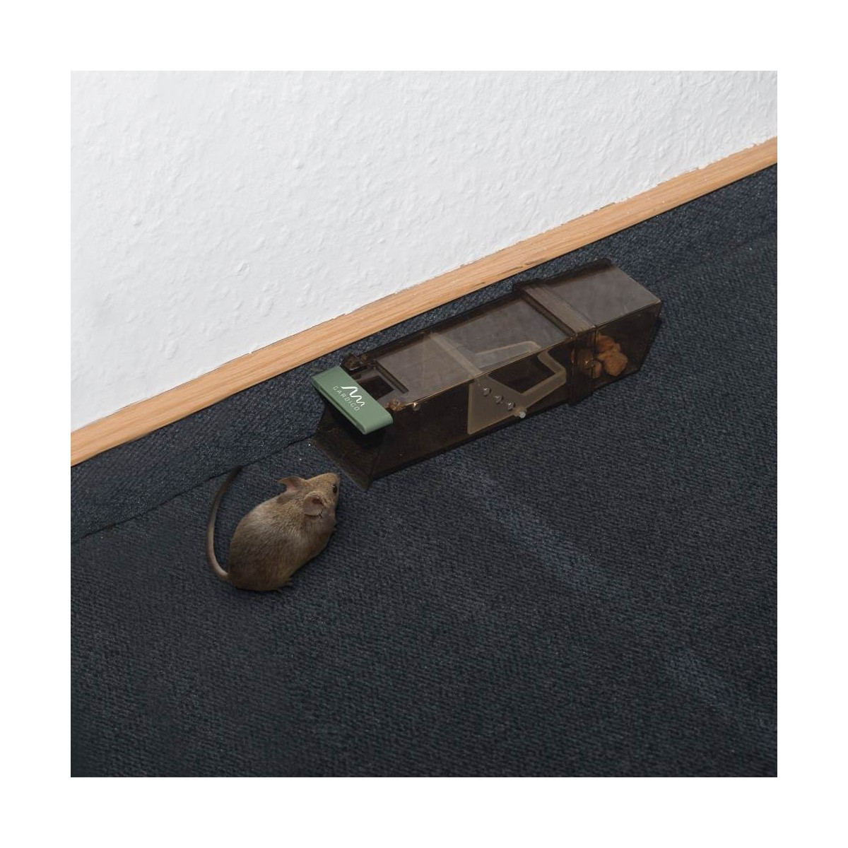 Effective, Reusable, Eco-friendly - Live Mouse Trap - BirdGard Iberia