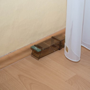 Mouse Trap in Room