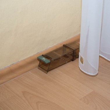 Trampa para Ratones en Habitación