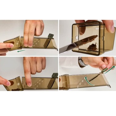 Live Mouse Trap Assembly Steps