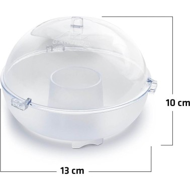 Dimensions of Wasp Trap