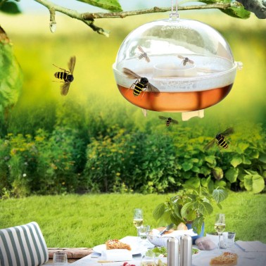 Wasp Trap Hanging Above Garden Table