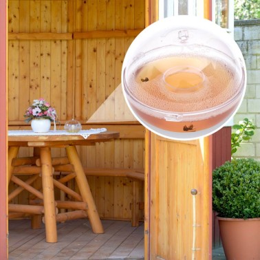 Wasp Trap on Table on House Porch