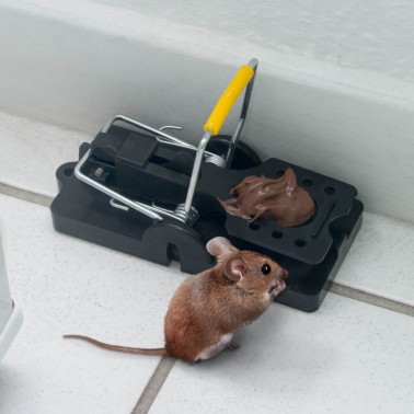 2 Pack Reusable Mouse Traps Rodent Snap Trap Mice Catcher Mousetrap Heavy Duty, Size: Small, Black