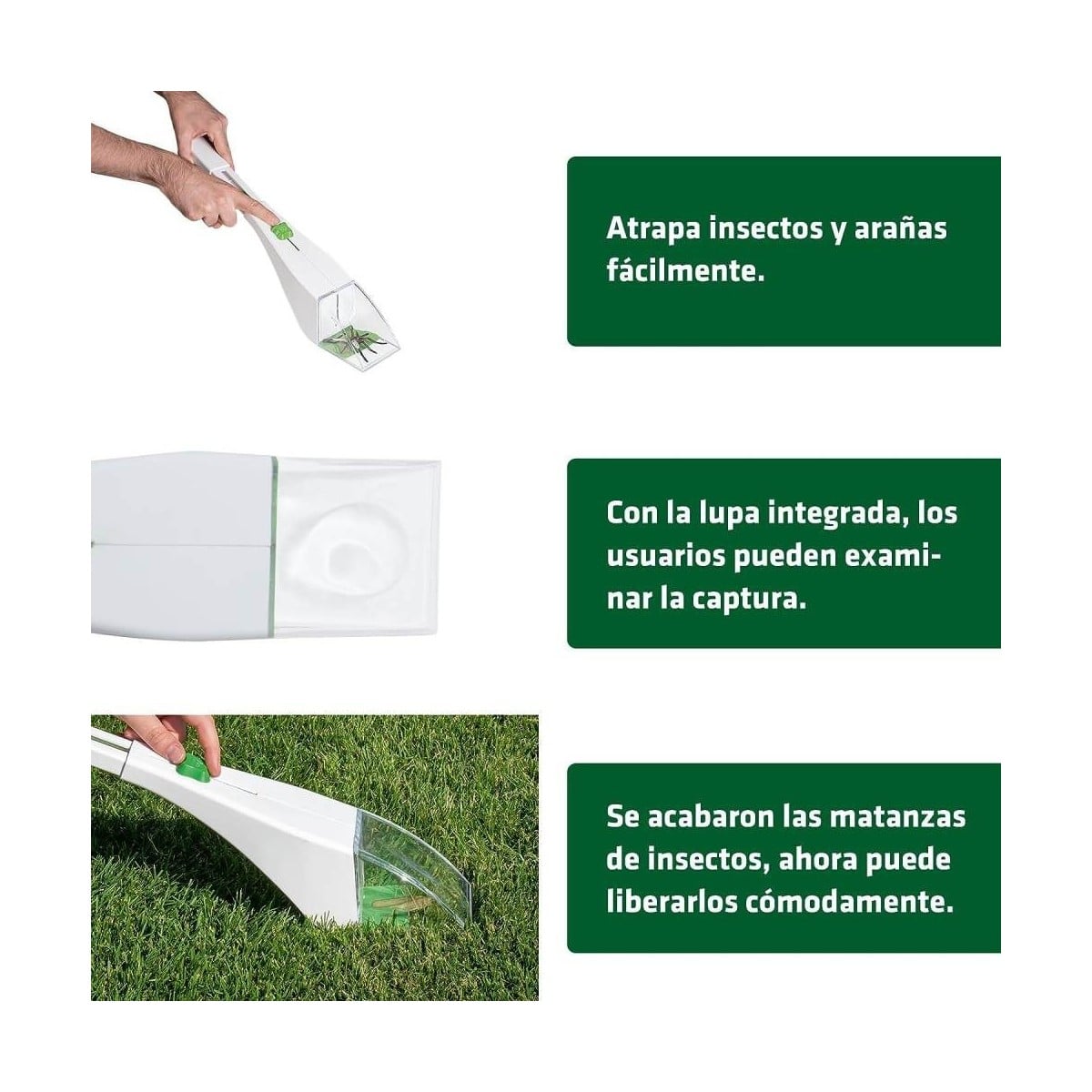 Mango Insect Trap Atrapainsectos - Con mango telescópico y lupa - BirdGard Iberia