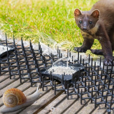 Fence Spikes for Cats