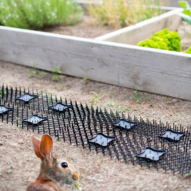 Fence Spikes for Cats