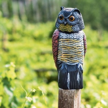 Owl Scarecrow Installed on a Pole - Left Side View