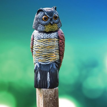 Owl Scarecrow Installed on a Pole - Right Side View