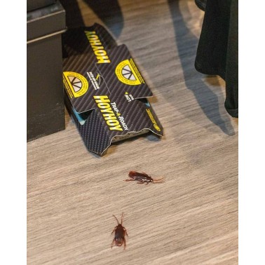 Cockroach Trap