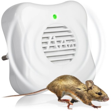 Ultrasonido para Ratas