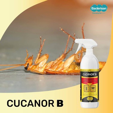 Cucanor B Cockroach Poison