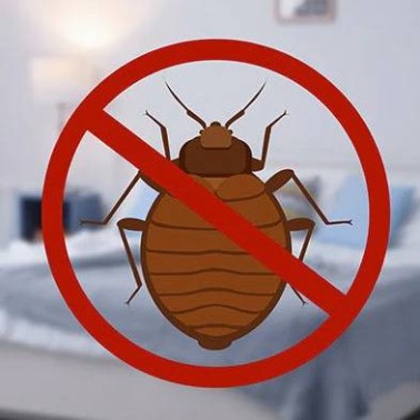 Get rid of Bed Bugs - Nattaro Safe