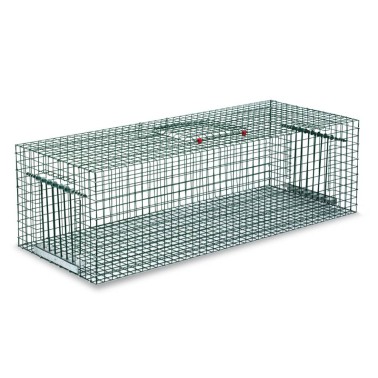 Pigeon Trap Cage