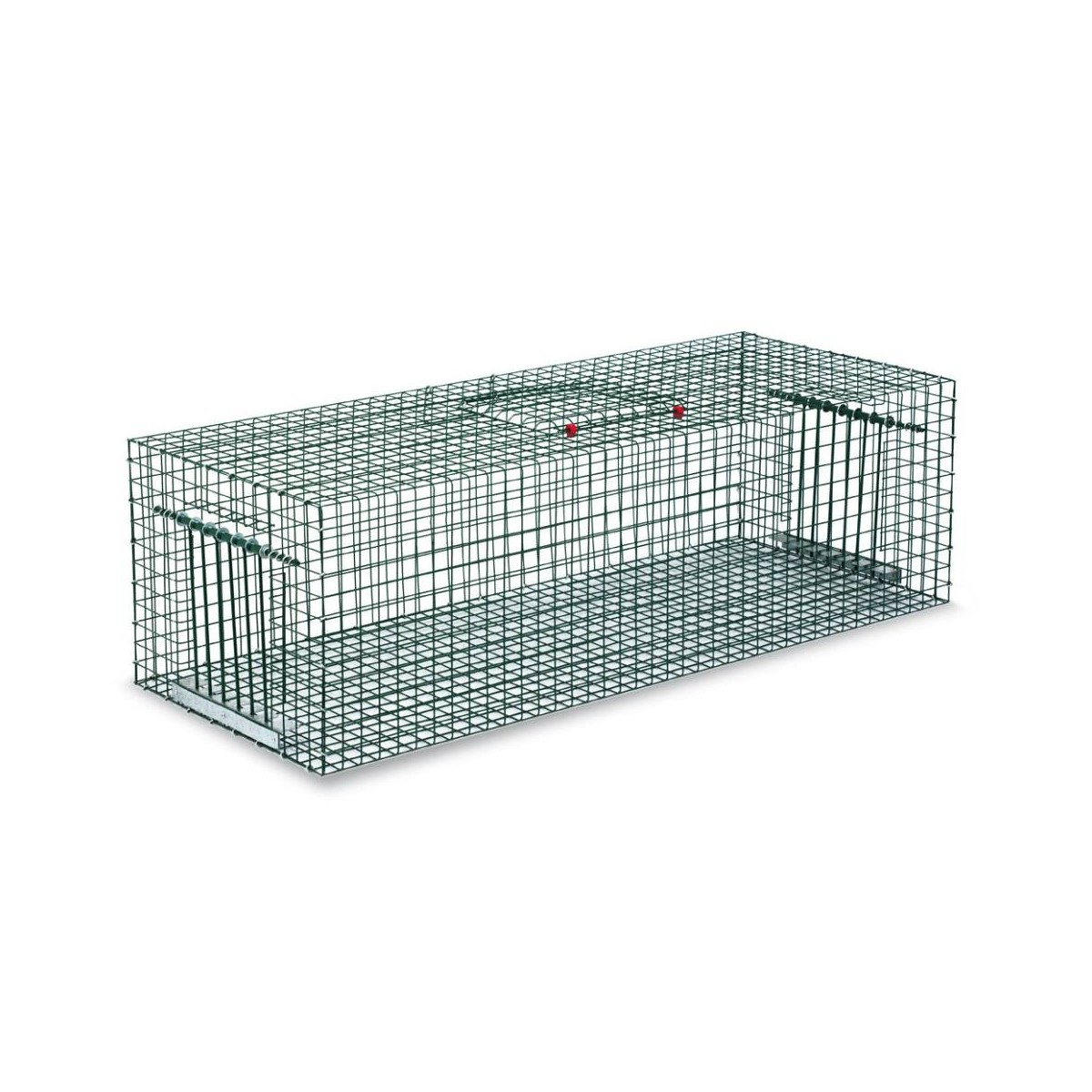 Pigeon Trap Cage